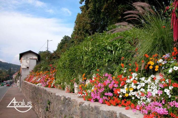 Atalus - 3 tailles À l'international