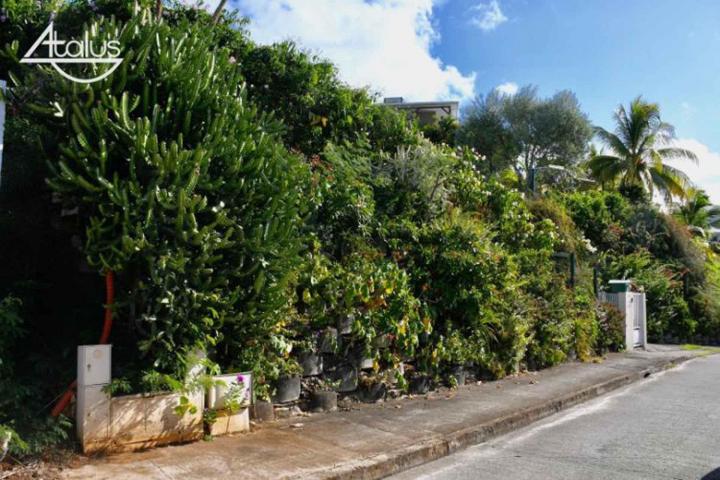 Murs paysagés À l'international