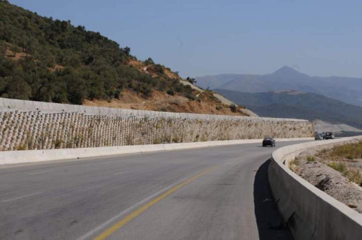 Green retaining walls internationally