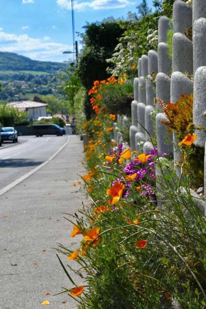 Murs de soutènement végétalisés À l'international