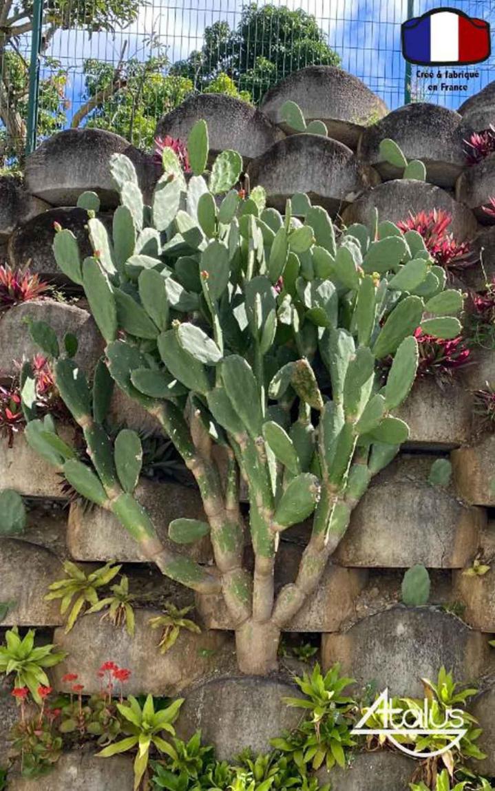 Murs paysagés À l'international