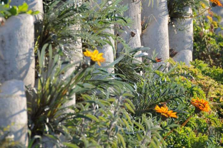 Landscaped walls internationally