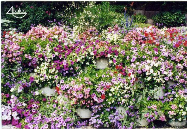 Murs paysagés À l'international