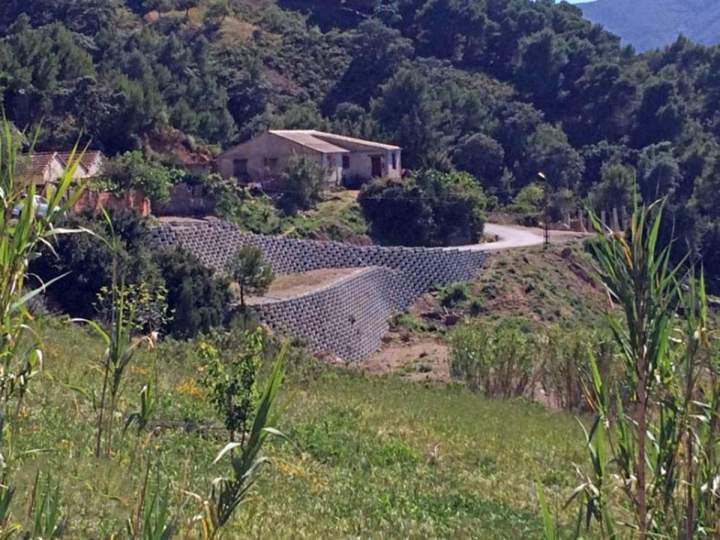 Atalus - 3 sizes internationally