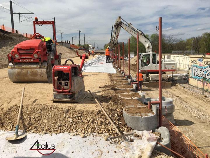 Atalus - 3 tailles À l'international