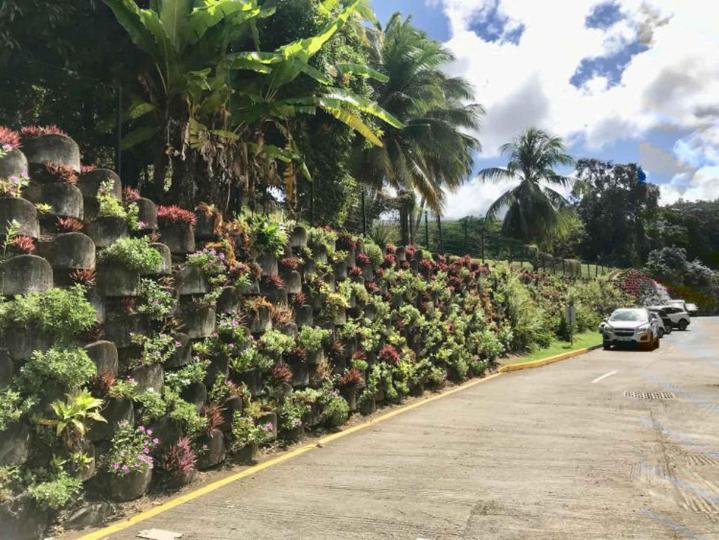 Murs paysagés À l'international