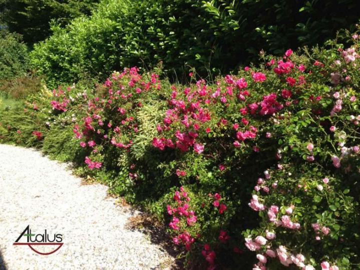 Construction de murs de soutènement À l'international