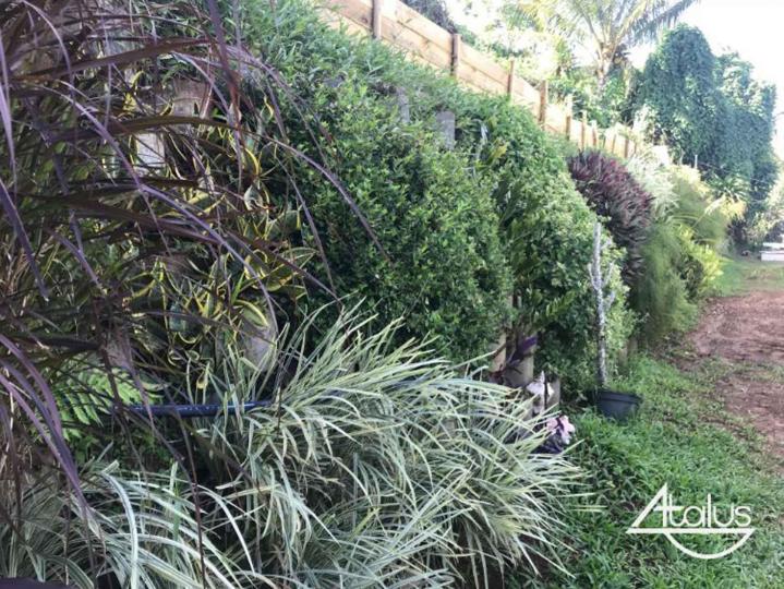 Travaux de Murs paysagés À l'international