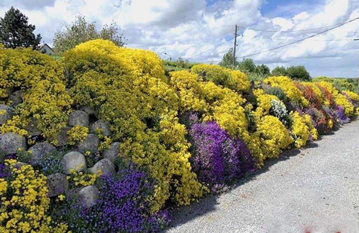 Murs paysagés à l'international