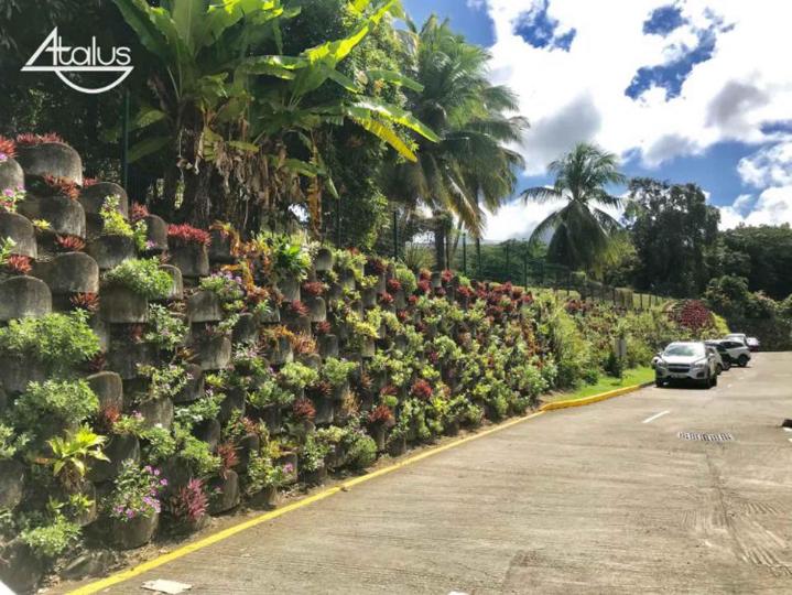 Travaux de Atalus - 3 tailles À l'international