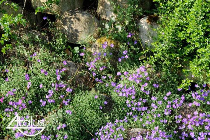 Murs de soutènement végétalisés À l'international
