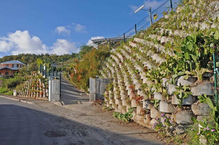 Tél : 00 420 272 95 3940  |  jana.klokockova@atalus.cz