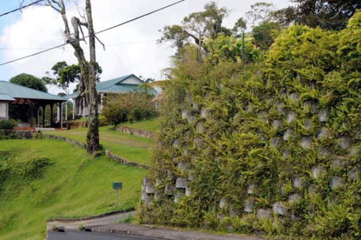 Landscaped walls internationally