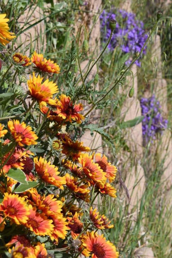 Murs de soutènement végétalisés À l'international