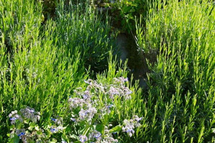 Murs paysagés À l'international