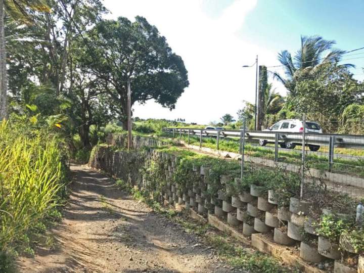 Green retaining walls internationally