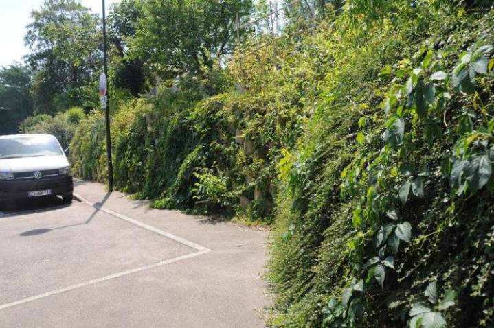 Green retaining walls internationally
