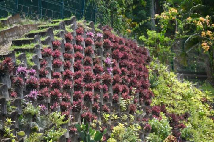 Works by Atalus - 3 international sizes