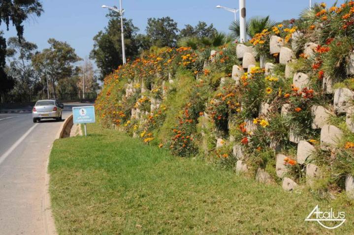 Murs paysagés À l'international