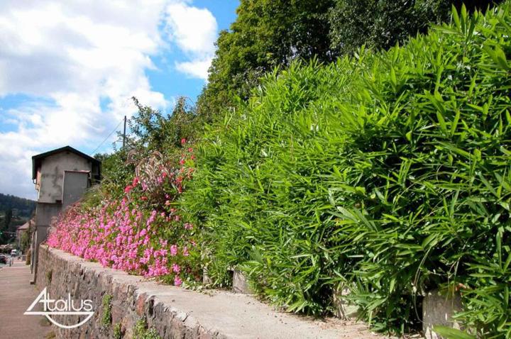 Murs paysagés À l'international