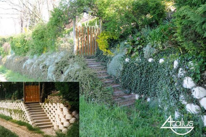 Atalus - 3 tailles À l'international