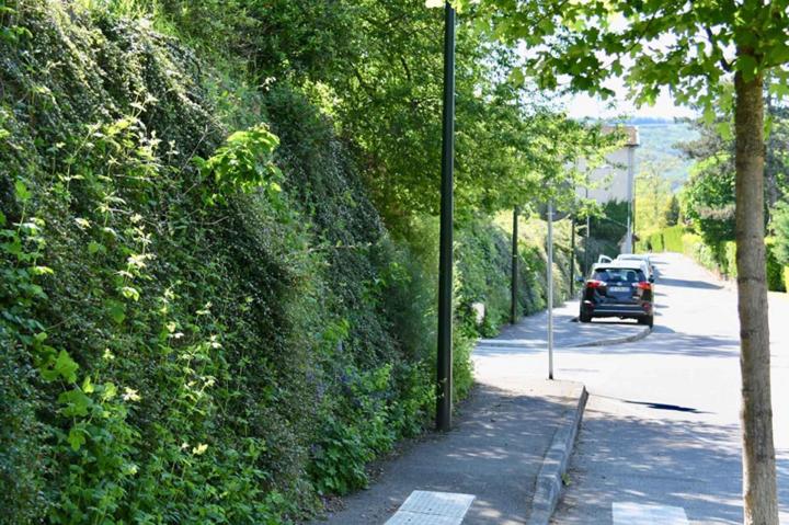 Atalus - 3 tailles À l'international