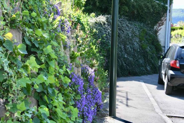 Travaux de Murs paysagés À l'international