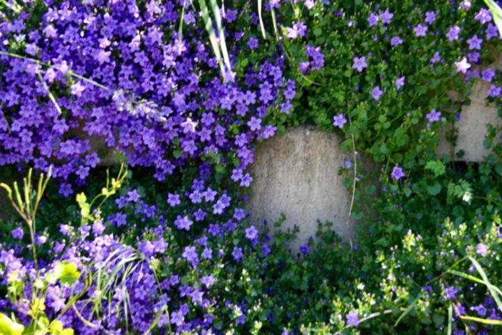 Atalus - 3 tailles À l'international