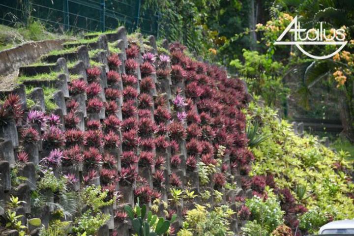 Travaux de murs de soutènement végétalisés À l'international