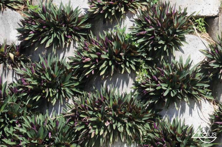 Atalus double pour murs anti-bruit À l'international