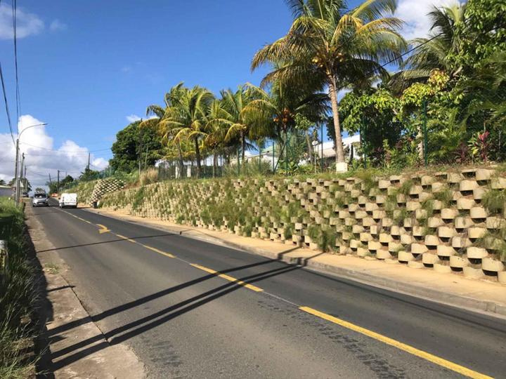 Travaux de murs de soutènement végétalisés À l'international