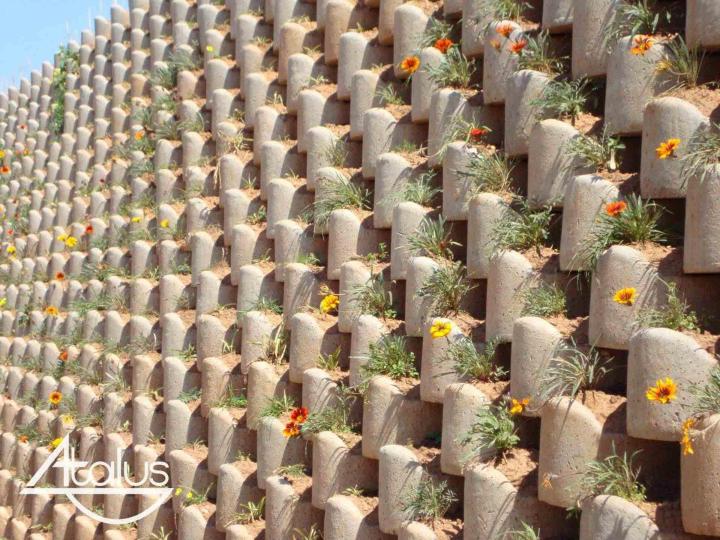 Tél : 00 33 603 50 69 05  |  Tél : 00 44 729 42 24 84  |  demetry.albu@club-internet.fr